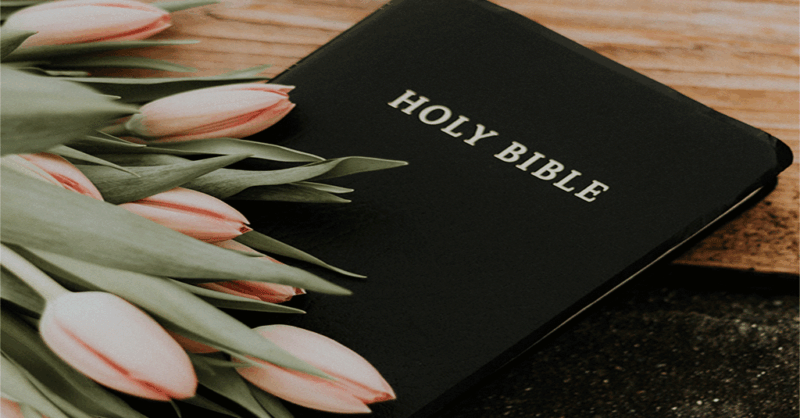 Biblical-Storytelling-Weekly-for-Lent