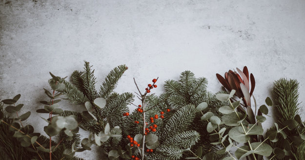 Biblical-Women,-Advent-Waiting,-and-21st-Century-Lives