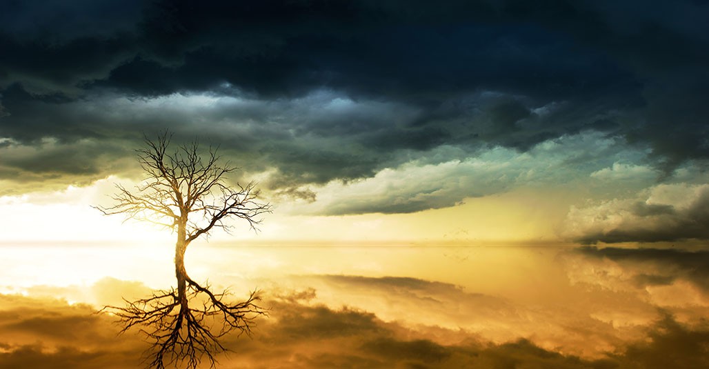 Finding Calm in the Storm