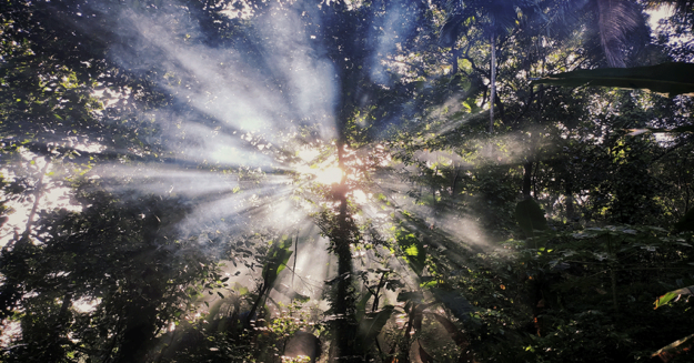 For-the-Common-Good-Discovering-and-Using-Your-Spiritual-Gifts