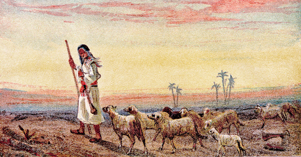 Journey Through the Psalms