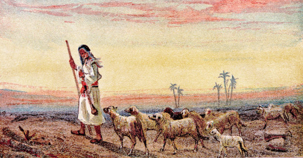 Journey Through the Psalms